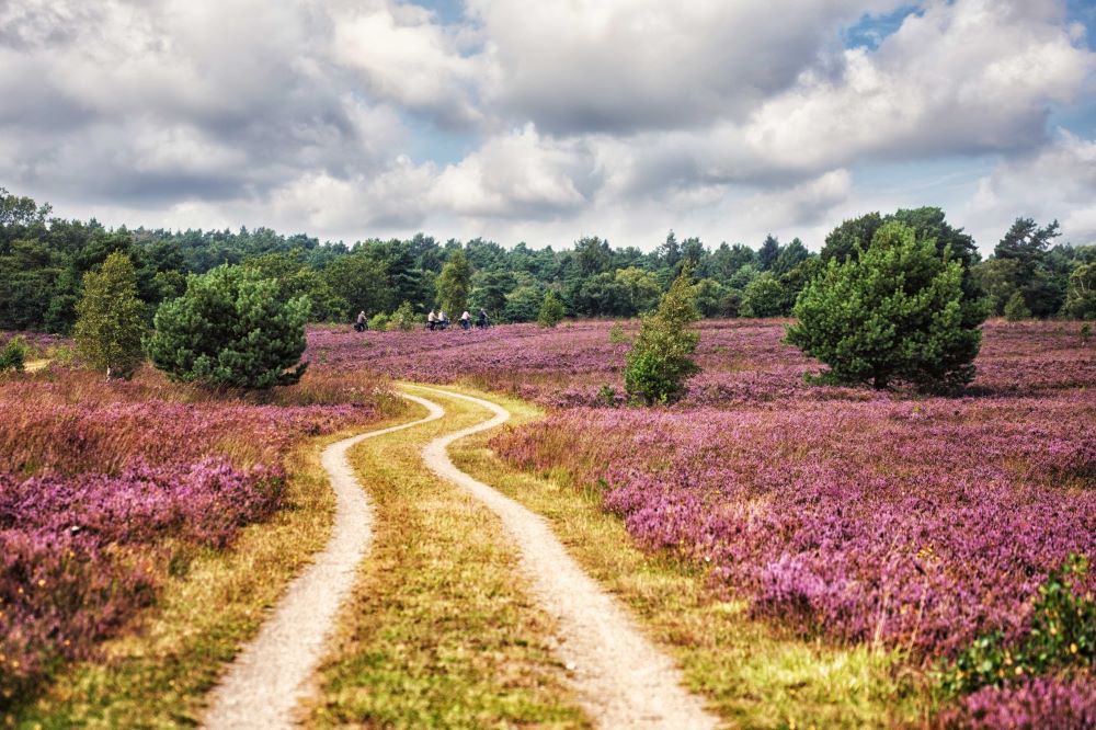 Das in Tilburg  Biodiversiteitstresstest